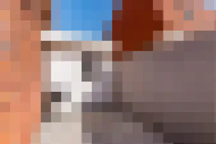Plataanlaan 10 Zaandam thumbnail 38