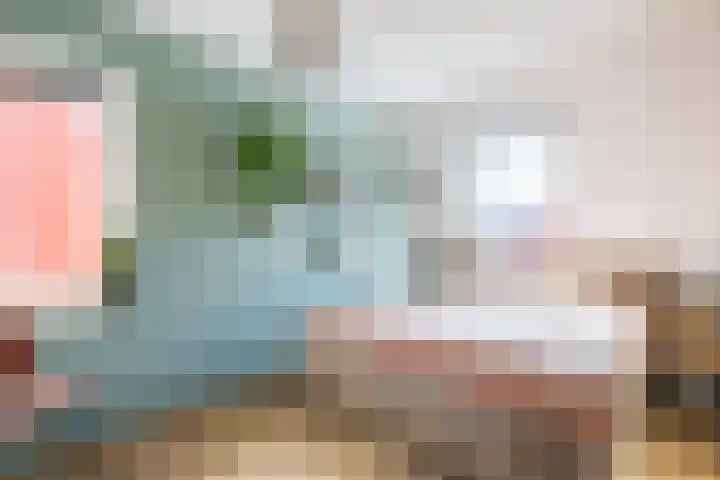 Plataanlaan 10 Zaandam thumbnail 42