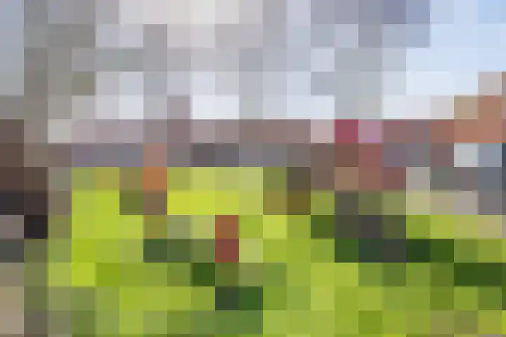 Plataanlaan 10 Zaandam thumbnail 60