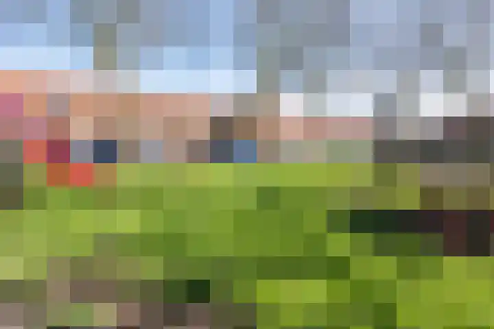 Plataanlaan 10 Zaandam thumbnail 61