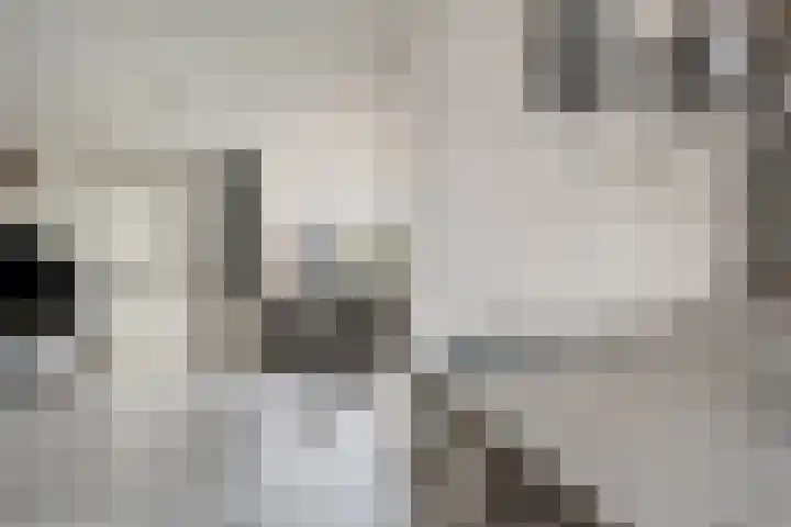 Plataanlaan 12 Winterswijk thumbnail 12