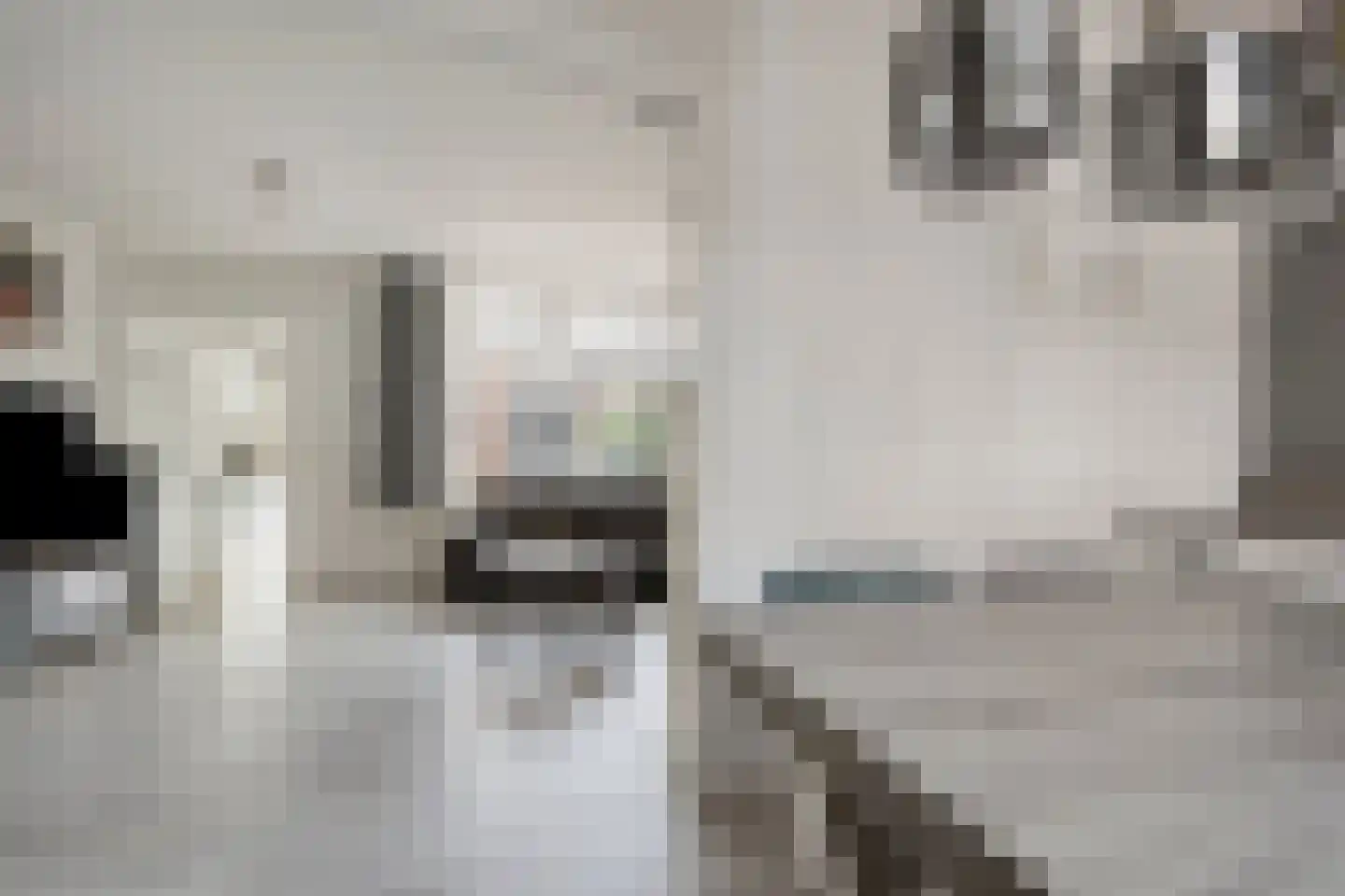 Plataanlaan 12 Winterswijk thumbnail 12