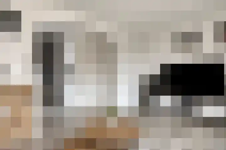 Plataanlaan 12 Winterswijk thumbnail 15