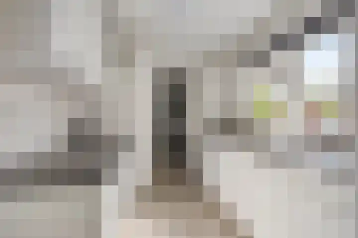 Plataanlaan 12 Winterswijk thumbnail 16