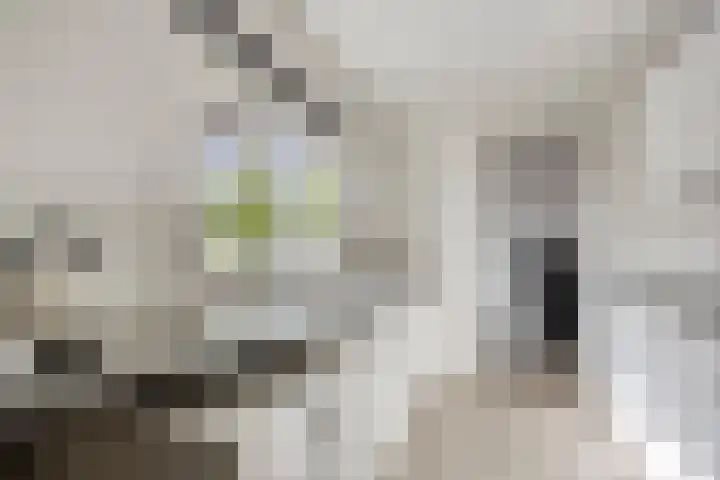 Plataanlaan 12 Winterswijk thumbnail 17
