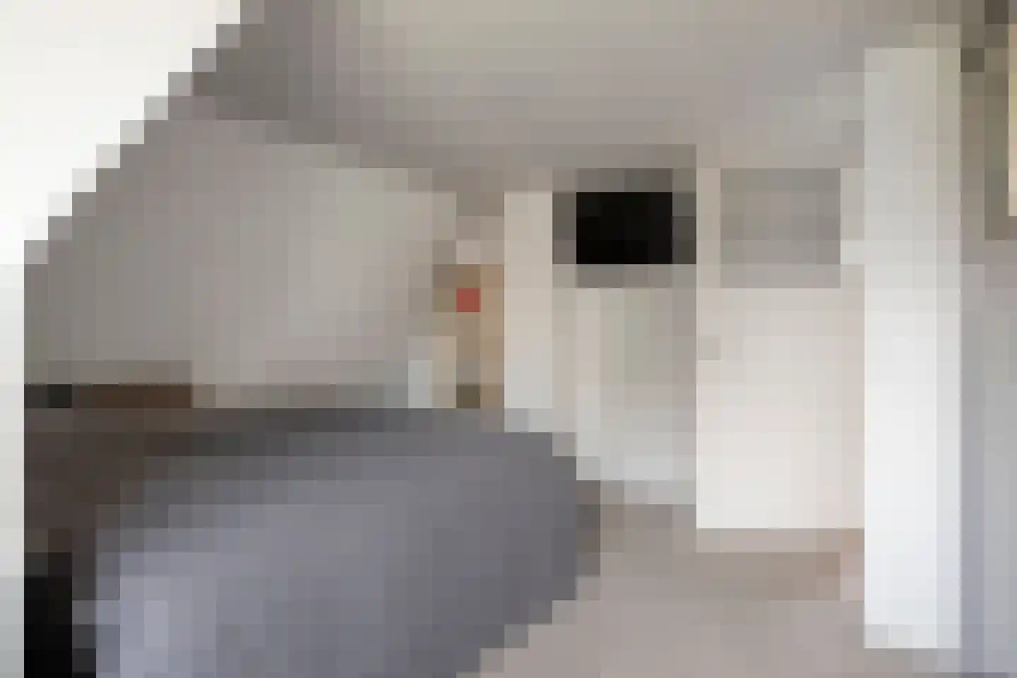 Plataanlaan 12 Winterswijk thumbnail 27