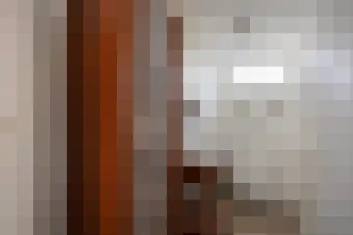 Plataanlaan 12 Winterswijk thumbnail 29