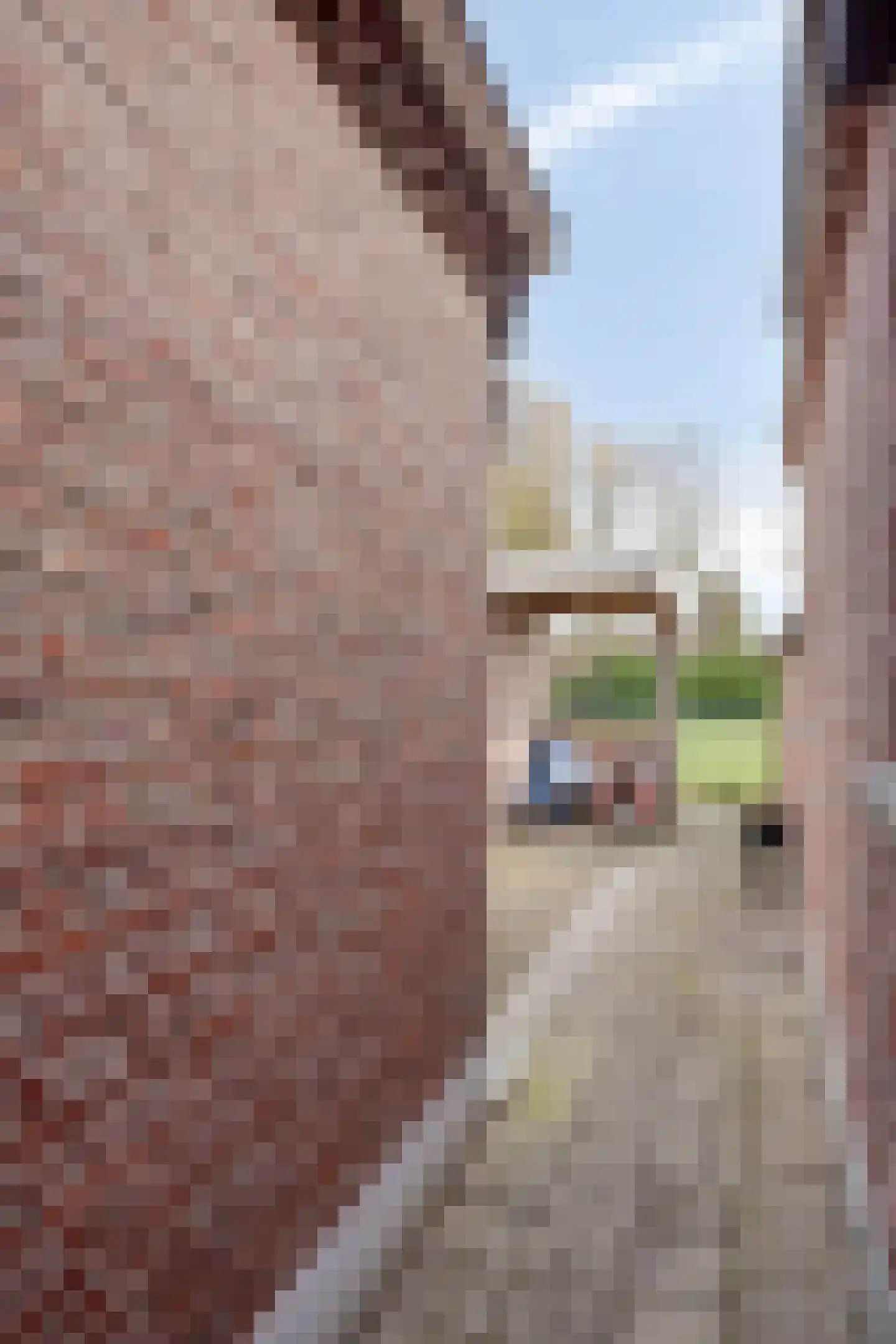 Plataanlaan 12 Winterswijk thumbnail 32