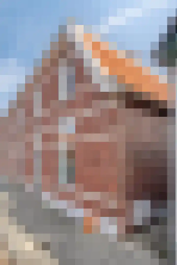 Plataanlaan 12 Winterswijk thumbnail 4