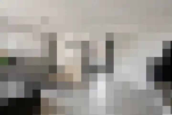 Plataanlaan 12 Winterswijk thumbnail 8