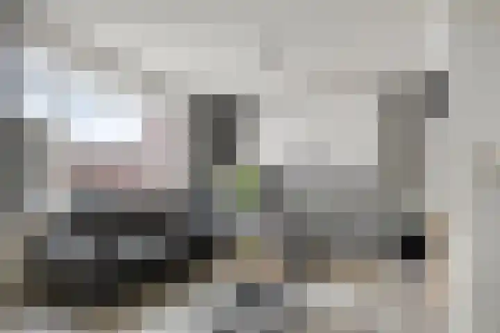 Plataanlaan 12 Winterswijk thumbnail 9