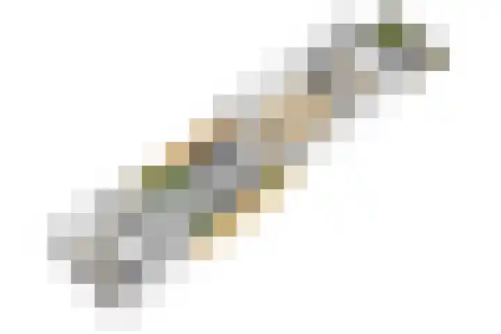 Plataanlaan 14 Baarn thumbnail 54