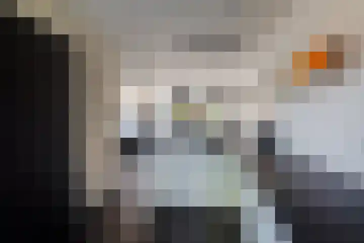 Plataanlaan 14 Baarn thumbnail 8