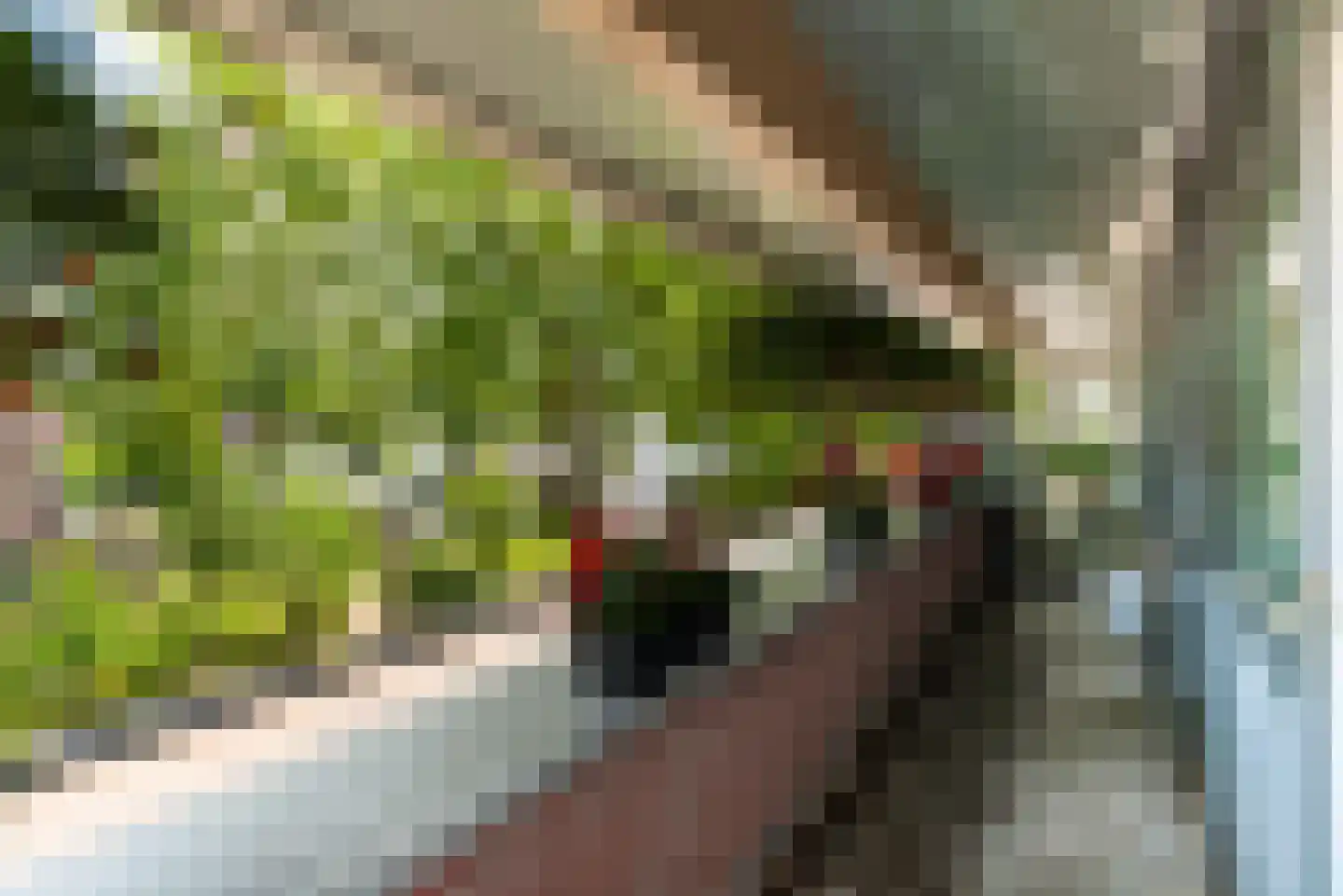 Plataanlaan 17 D Baarn thumbnail 10