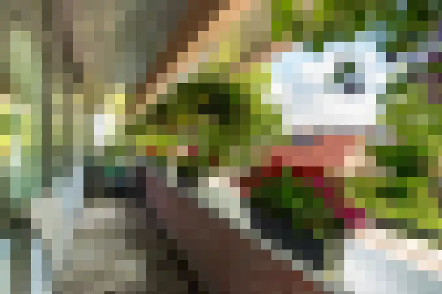 Plataanlaan 17 D Baarn thumbnail 11