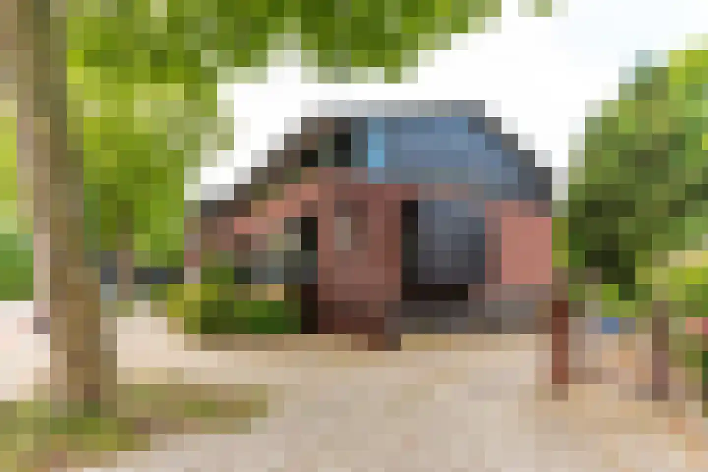 Plataanlaan 17 D Baarn thumbnail 24