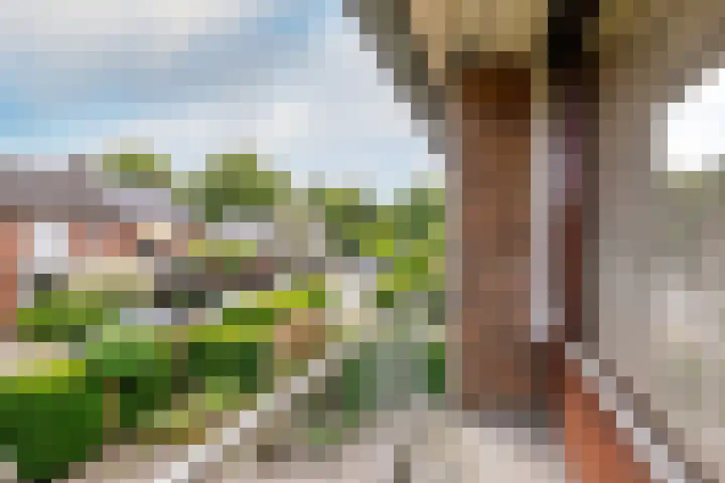 Plataanlaan 22 Harderwijk thumbnail 23