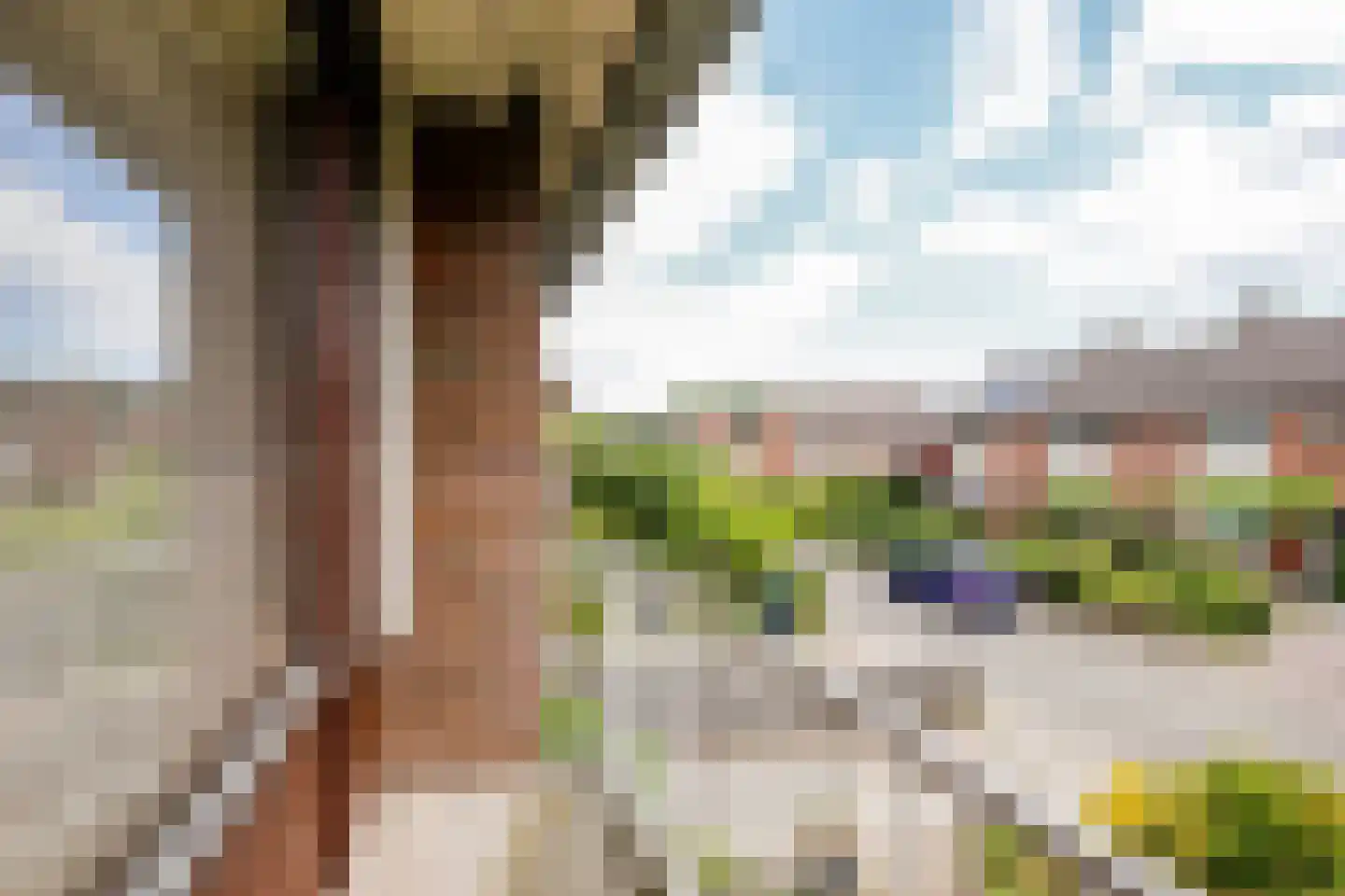 Plataanlaan 22 Harderwijk thumbnail 24