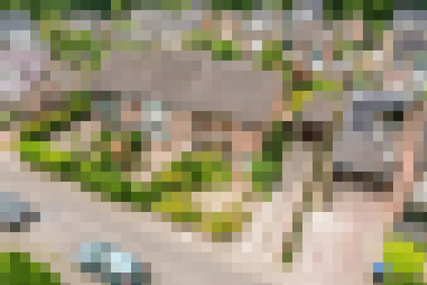 Plataanlaan 22 Harderwijk thumbnail 43
