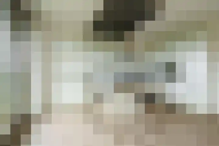 Plataanlaan 37 Wageningen thumbnail 10