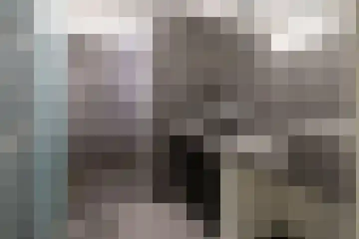 Plataanlaan 37 Wageningen thumbnail 17