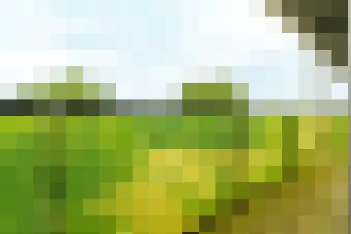 Plataanlaan 37 Wageningen thumbnail 20