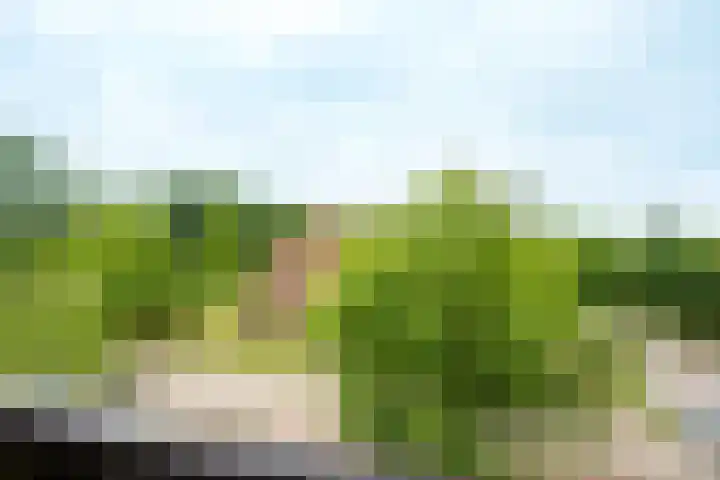 Plataanlaan 37 Wageningen thumbnail 21