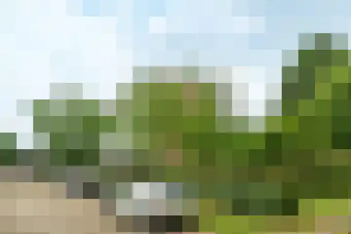 Plataanlaan 37 Wageningen thumbnail 22