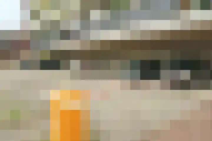 Plataanlaan 37 Wageningen thumbnail 24