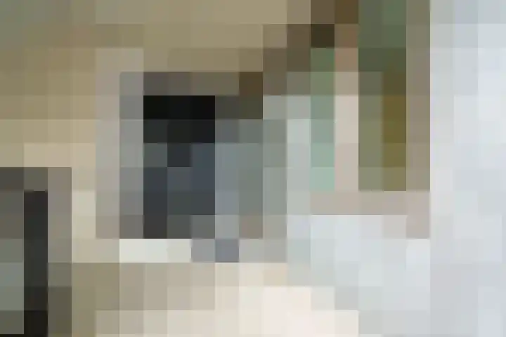 Plataanlaan 37 Wageningen thumbnail 5