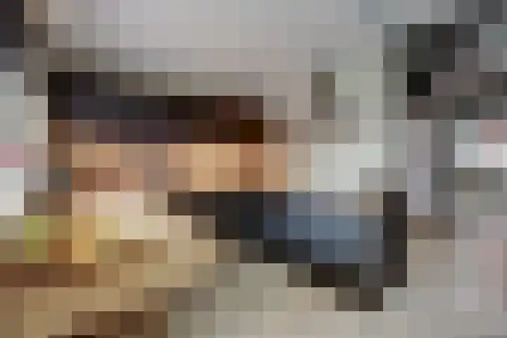 Plataanlaan 4 Winterswijk thumbnail 13