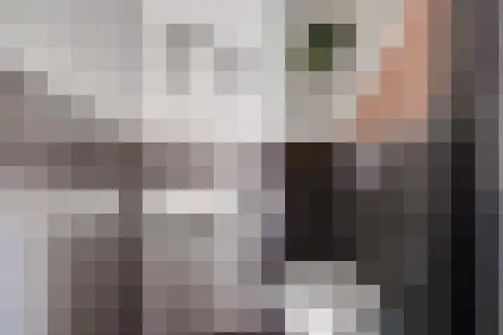 Plataanlaan 4 Winterswijk thumbnail 17