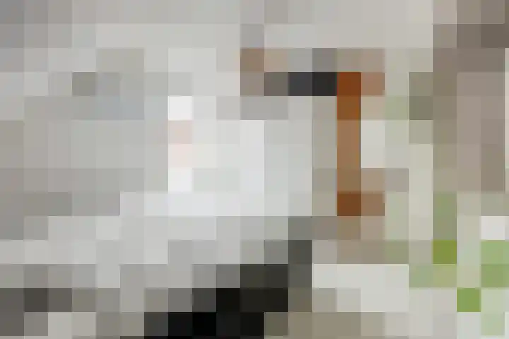 Plataanlaan 4 Winterswijk thumbnail 21