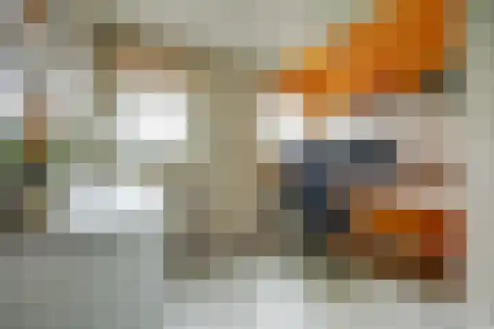 Plataanlaan 4 Winterswijk thumbnail 23