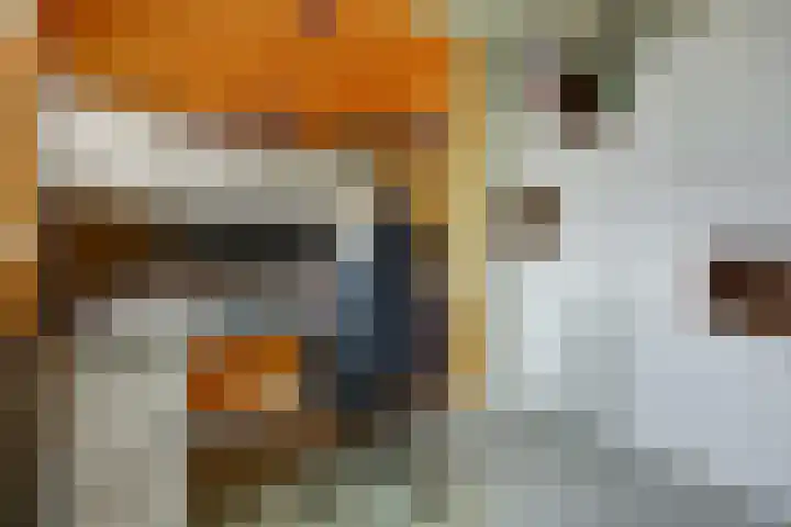 Plataanlaan 4 Winterswijk thumbnail 24