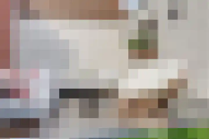 Plataanlaan 4 Winterswijk thumbnail 29