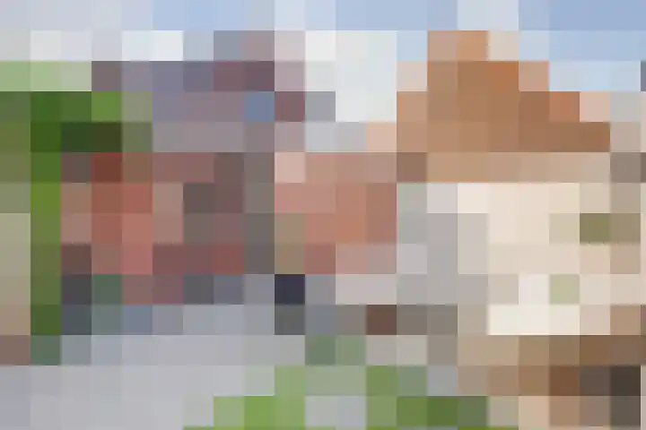Plataanlaan 4 Winterswijk thumbnail 31