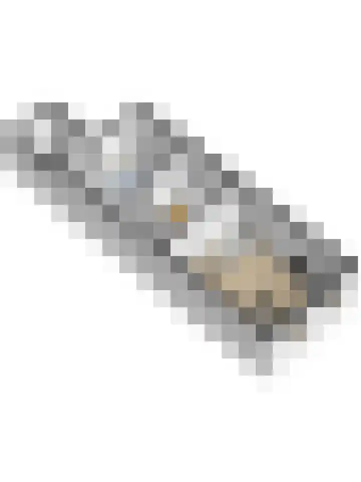 Plataanlaan 4 Winterswijk thumbnail 39