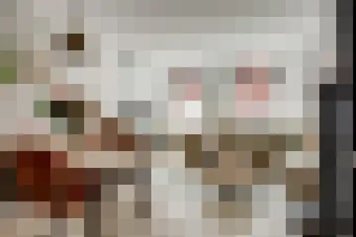 Plataanlaan 4 Winterswijk thumbnail 6