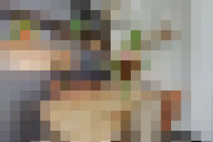 Plataanlaan 4 Winterswijk thumbnail 9