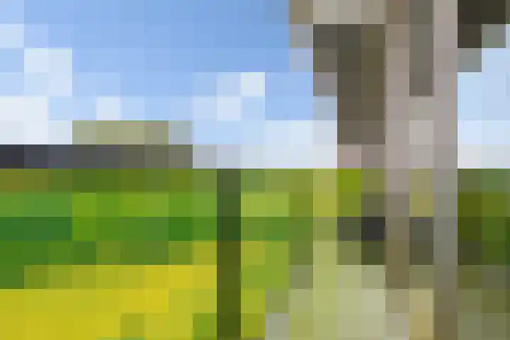 Plataanlaan 45 Wageningen thumbnail 14
