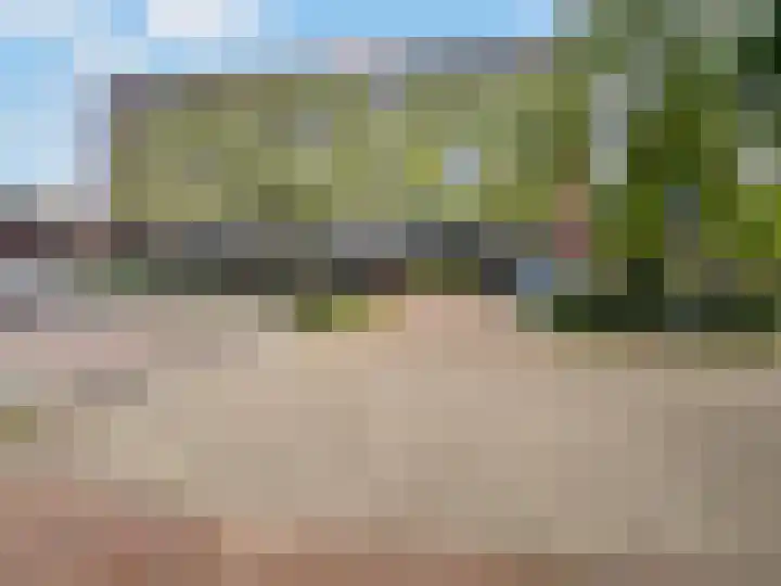 Plataanlaan 45 Wageningen thumbnail 23