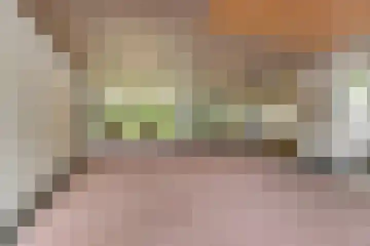 Plataanlaan 45 Wageningen thumbnail 5