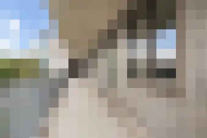 Plataanlaan 45 Wageningen thumbnail 9
