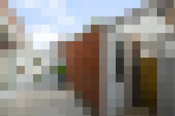 Plataanlaan 45 Zaandam thumbnail 17