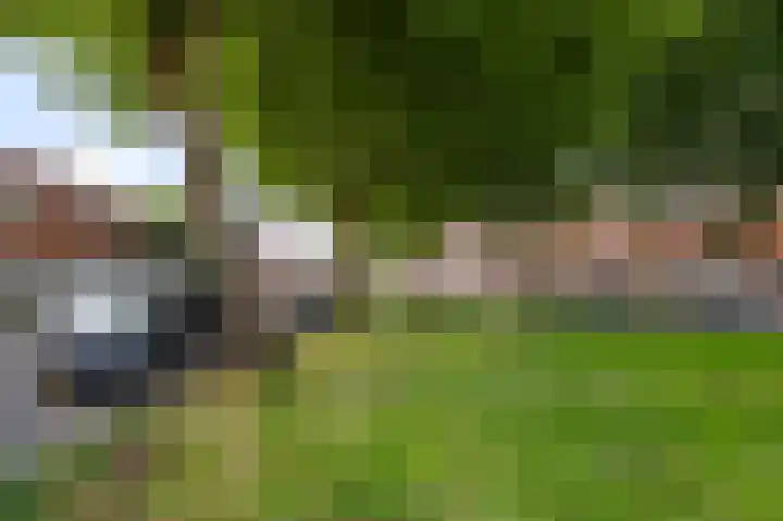 Plataanlaan 45 Zaandam thumbnail 33