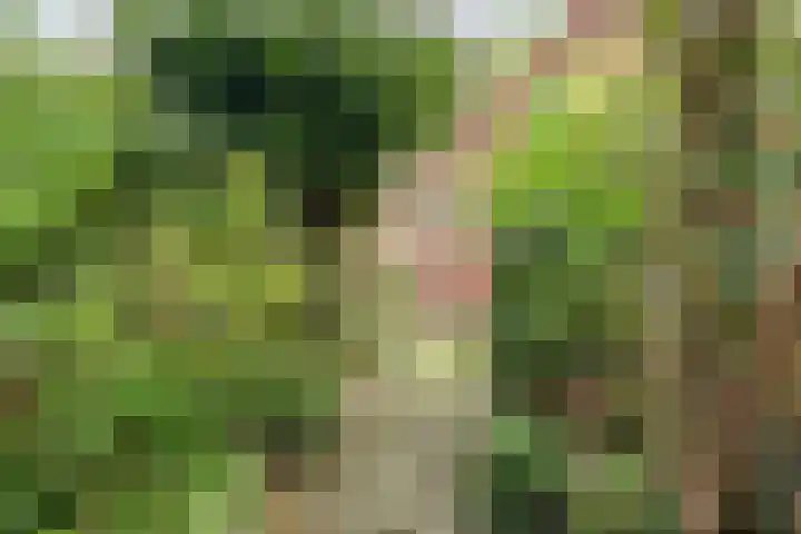Plataanlaan 46 Winterswijk thumbnail 32