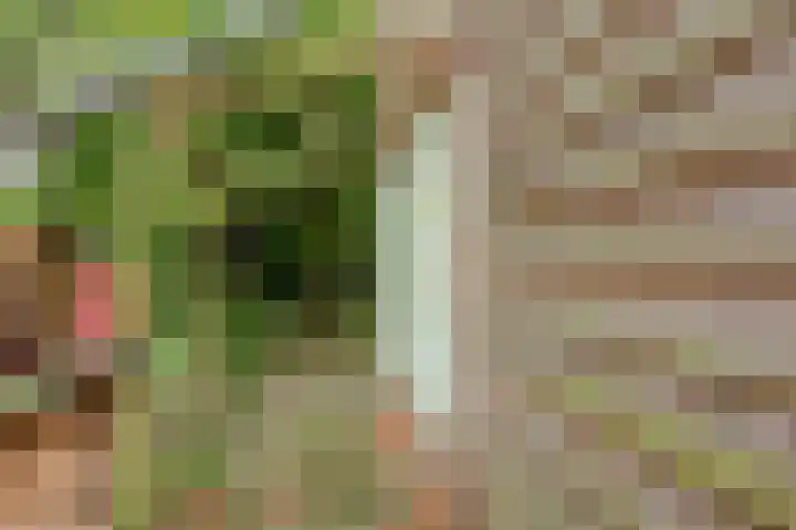 Plataanlaan 46 Winterswijk thumbnail 33