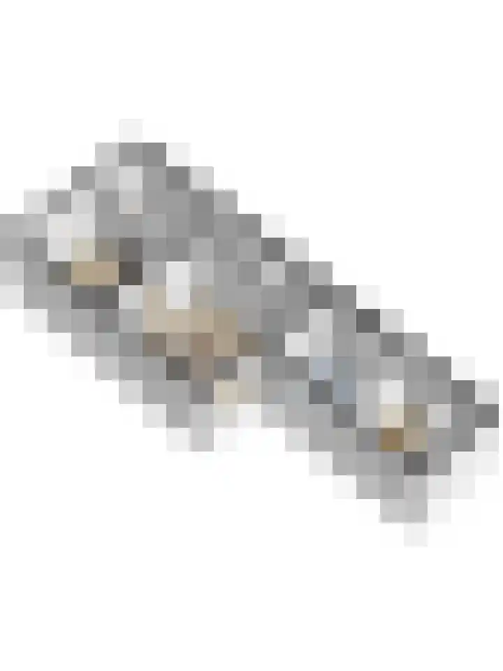 Plataanlaan 46 Winterswijk thumbnail 39
