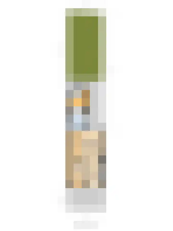 Plataanlaan 46 Winterswijk thumbnail 40